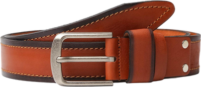 Ремень мужской Fabretti FR2696-12