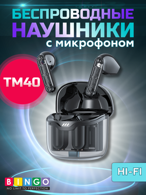 Беспроводные наушники Bingo TM40 (черный)
