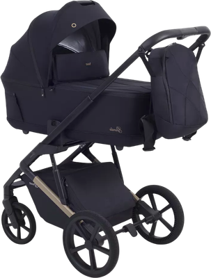 Детская универсальная коляска Rant Garda 2 в 1 / RA114 (Black)