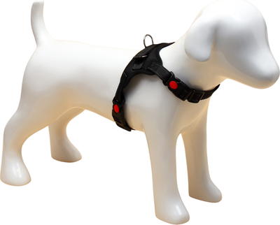 Шлея Sima-Land К7 Светоотражающая / 3811652 (р.М, черный)