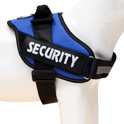 Шлея Sima-Land К9 Светоотражающая / 3276155 (р.XL, синий)