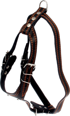 Шлея Sima-Land Караульная / 1613470 (черный)