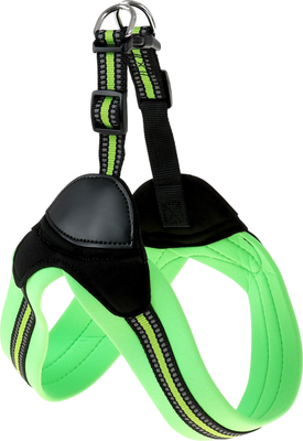 Шлея Sima-Land 1716393 (зеленый)