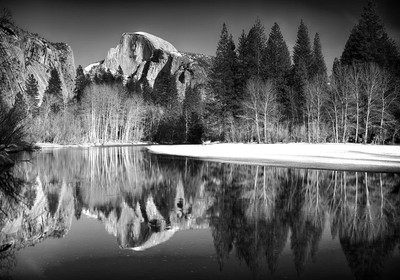 Фотообои листовые Citydecor Природа 146 (200x140см)