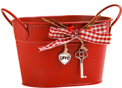 Кашпо Take It Easy Ведерко Рустад / 9944489 (красный)
