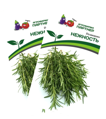 Набор семян Агрофирма Партнер Розмарин Нежность (2шт)