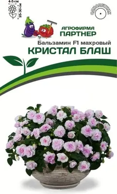 Набор семян цветов Агрофирма Партнер Бальзамин F1 Уоллера крупноцветковый Кристал Блаш (2шт)