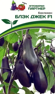 Семена Агрофирма Партнер Баклажан Блэк Джек F1
