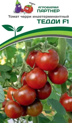 Семена Агрофирма Партнер Томат Тедди F1 (5шт)
