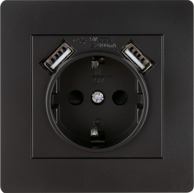 Розетка TDM Сенеж SQ1816-0283 (черный)