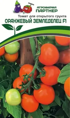 Семена Агрофирма Партнер Томат Черри Оранжевый Земледелец F1 (0.05г)
