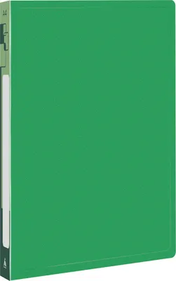 Папка для бумаг Бюрократ PZ05PGREEN (зеленый)