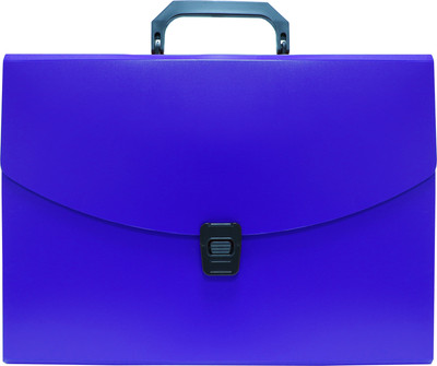 Папка-портфель Бюрократ BPP6BLUE (синий)