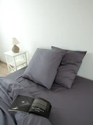 Комплект постельного белья Блакiт Евро 70х70 41261/0 / 18-4010 (графит, однотонный)