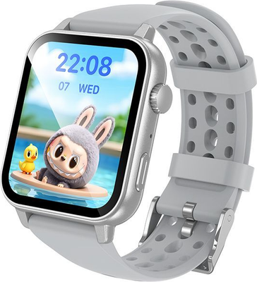 Умные часы Borofone BD15 Call Version (серебристый)