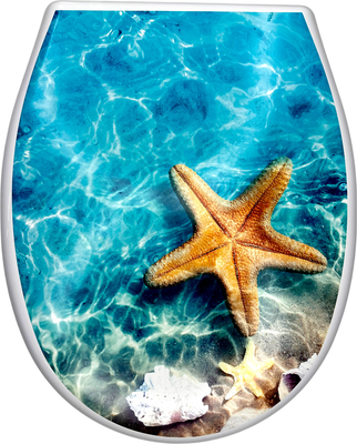 Сиденье для унитаза Еврокомфорт Океан Lux с рисунком Морская звезда 003775 (жесткое)
