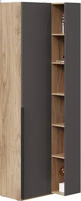 Шкаф ТриЯ Порто СМ-393.21.024 угловой с глухой дверью (яблоня беллуно/графит софт)