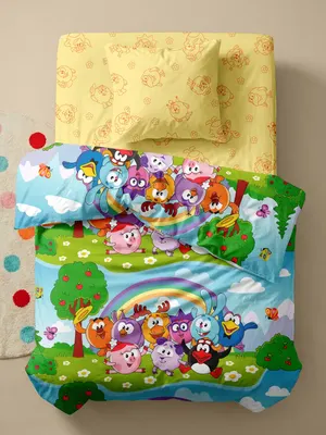 Комплект постельного белья ВАСИЛЕК Тинейджер 24 Смешарики / 500546/1