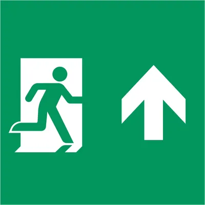 Пиктограмма для аварийного светильника Arlight EMGP-MARK-MA-UP Человек, Вверх / 059834