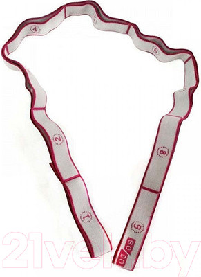 Эспандер ZEZ Sport LA25100