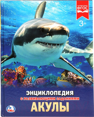 Энциклопедия Умка Акулы (Алексеев В.)