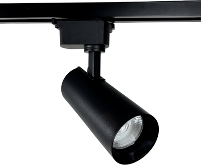 Трековый светильник Truenergy 24081