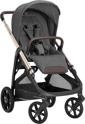 Детская прогулочная коляска Inglesina Aptica New / AG60S0VLG (Velvet Grey )