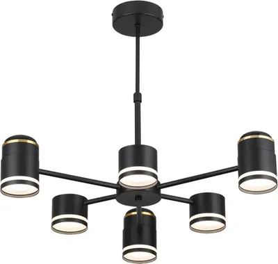 Люстра Lumion Virsava 8234/6C