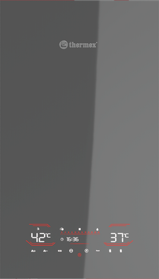 Газовый котел Thermex Antares FH32