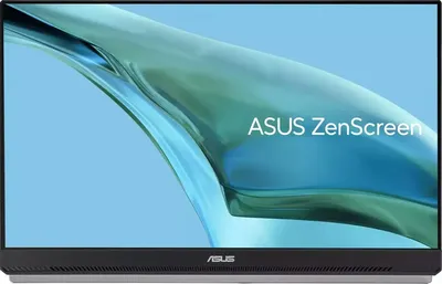 Портативный монитор Asus ZenScreen MB249C (черный)