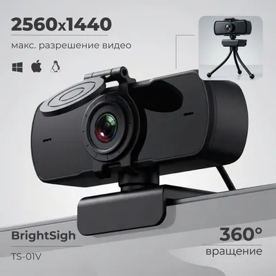 Веб-камера BrightSight TS-01V