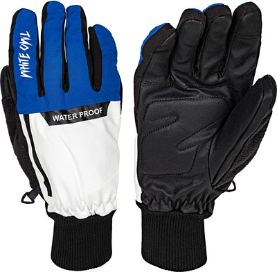 Перчатки лыжные White Owl 09-1549 / W112825 (S, синий/белый)