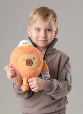 Мягкая игрушка ILikeGift Capybara fun / 106-067