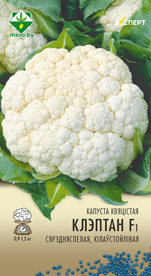 Семена МинскСортСемОвощ Капуста цветная Клэптон F1 (6шт)