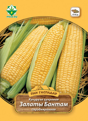 Семена МинскСортСемОвощ Кукуруза Золотой бантам сахарная (12г)