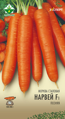 Семена МинскСортСемОвощ Морковь Норвей F1 столовая (0.3г)