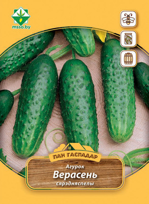 Семена МинскСортСемОвощ Огурец Верасень (3г)