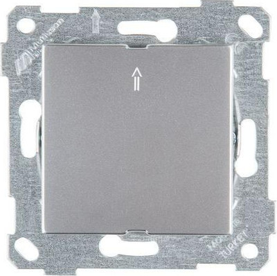 Декоративная заглушка для розетки Mutlusan Rita 2200-121-0282 (нержавеющая сталь)