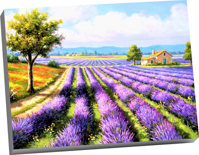 Картина по номерам Молли Лавандовое Поле / HR0104