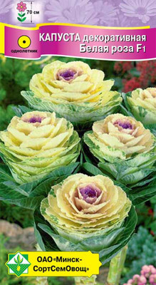 Семена цветов МинскСортСемОвощ Капуста декоративная Белая роза F1 (7шт)