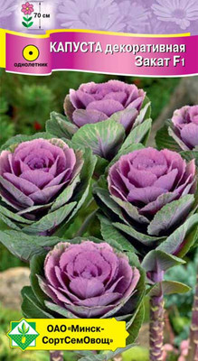 Семена цветов МинскСортСемОвощ Капуста декоративная Закат F1 (7шт)