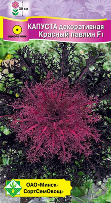 Семена цветов МинскСортСемОвощ Капуста декоративная Красный павлин F1 (7шт)