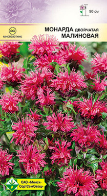 Семена цветов МинскСортСемОвощ Монарда двойчатая Малиновая (0.03г)