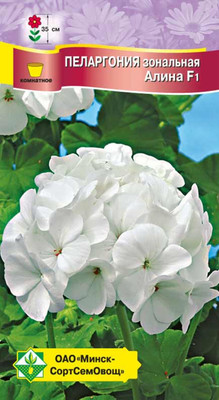 Семена цветов МинскСортСемОвощ Пеларгония зональная Алина F1 (4шт)