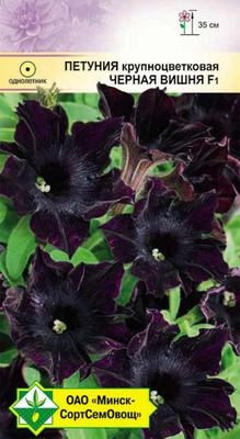 Семена цветов МинскСортСемОвощ Петуния гибр крупноцв Черная вишня F1 (5шт)