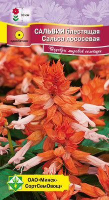 Семена цветов МинскСортСемОвощ Сальвия блестящая Сальса лососевая (10шт)