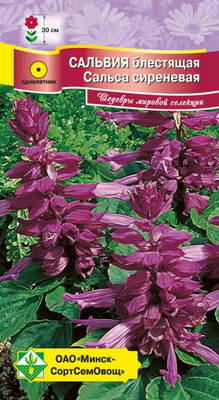 Семена цветов МинскСортСемОвощ Сальвия блестящая Сальса сиреневая (10шт)