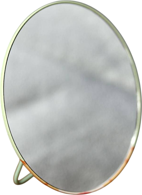 Зеркало косметическое ILikeGift Head corgi ZT185-3030A1-04 (green)