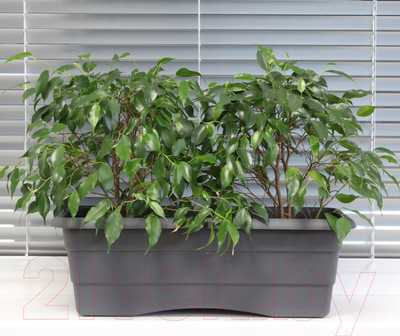 Кашпо Gardenplast №2 (графитовый)