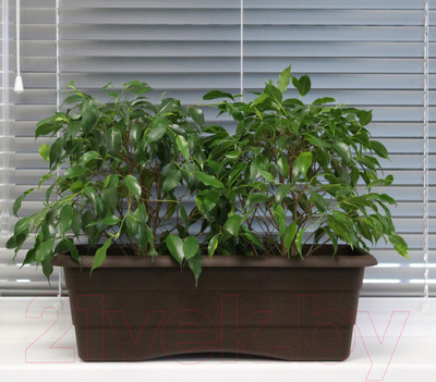 Кашпо Gardenplast №2 (шоколадный)